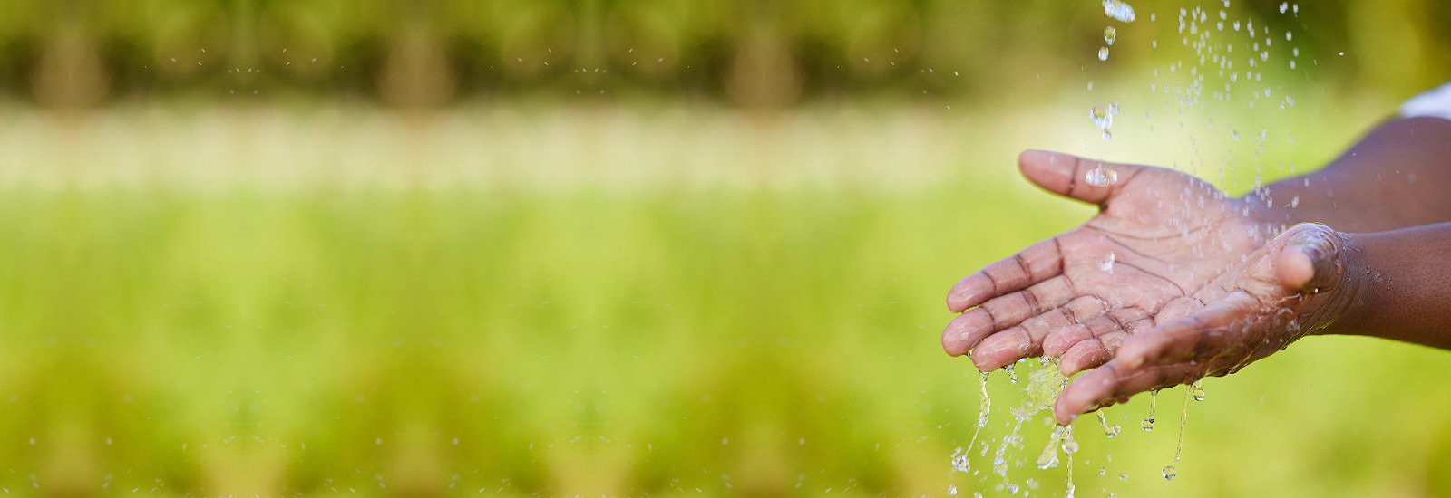 Ambiente Environmental Solutions