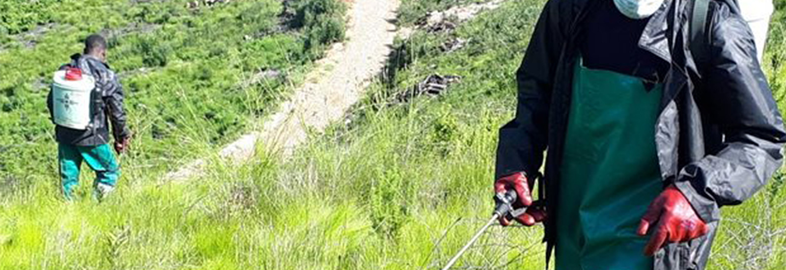 Ambiente Environmental Solutions