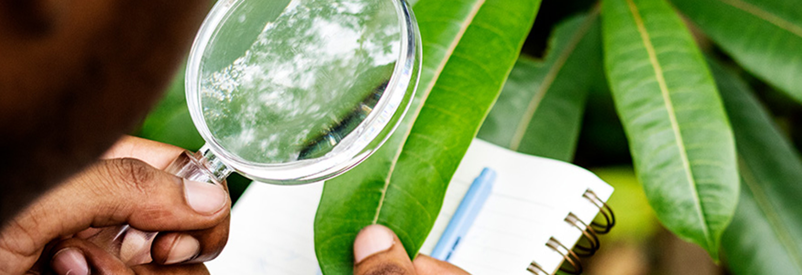 Ambiente Environmental Solutions